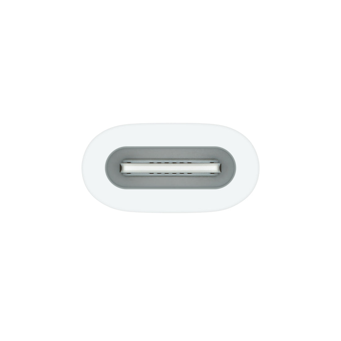 Apple USB-C auf Apple Pencil Adapter