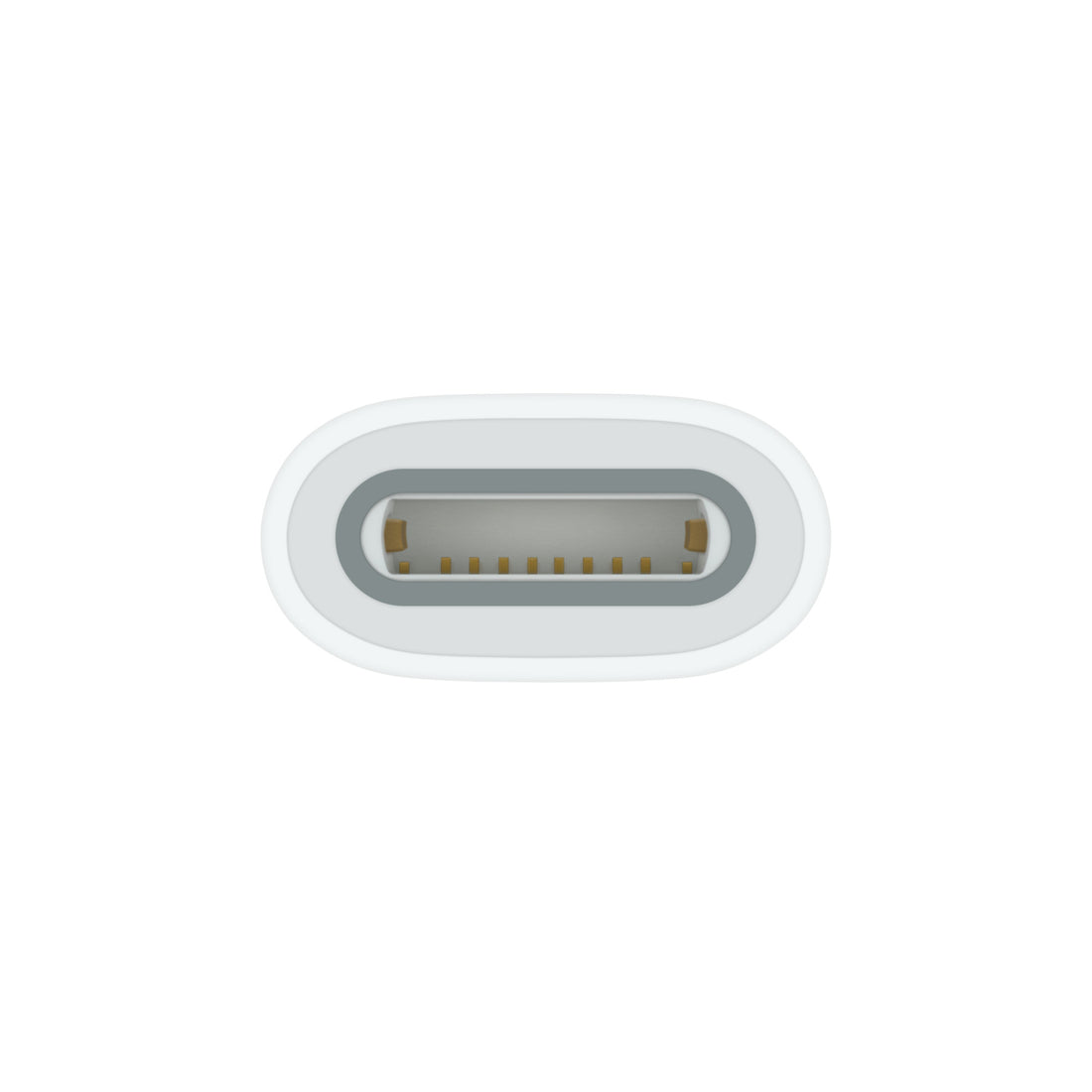 Apple USB-C auf Apple Pencil Adapter